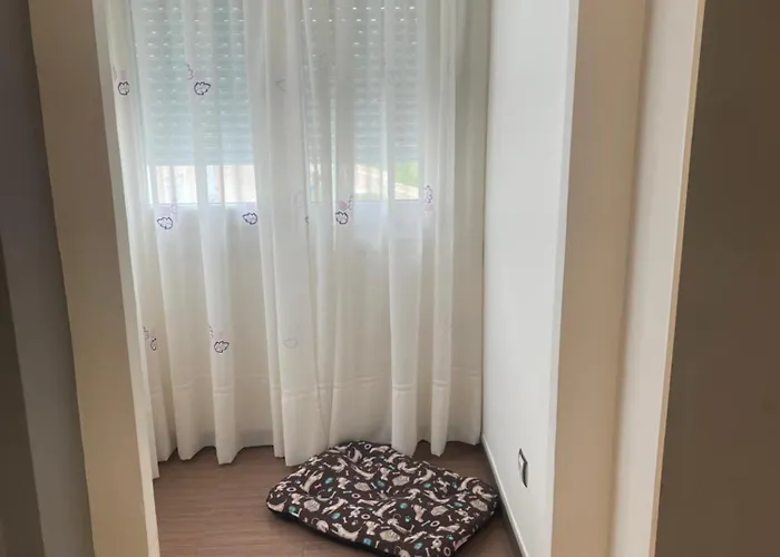 דירה Shell's צה